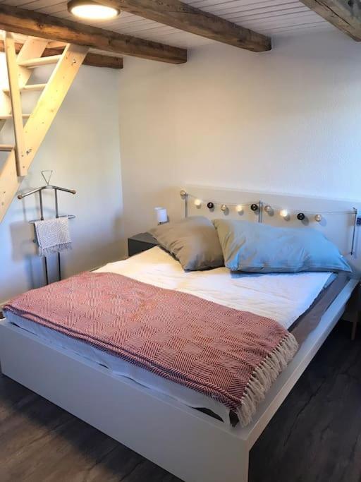 La Maisonnette : Charmante Maison Independante Salgesch Dış mekan fotoğraf