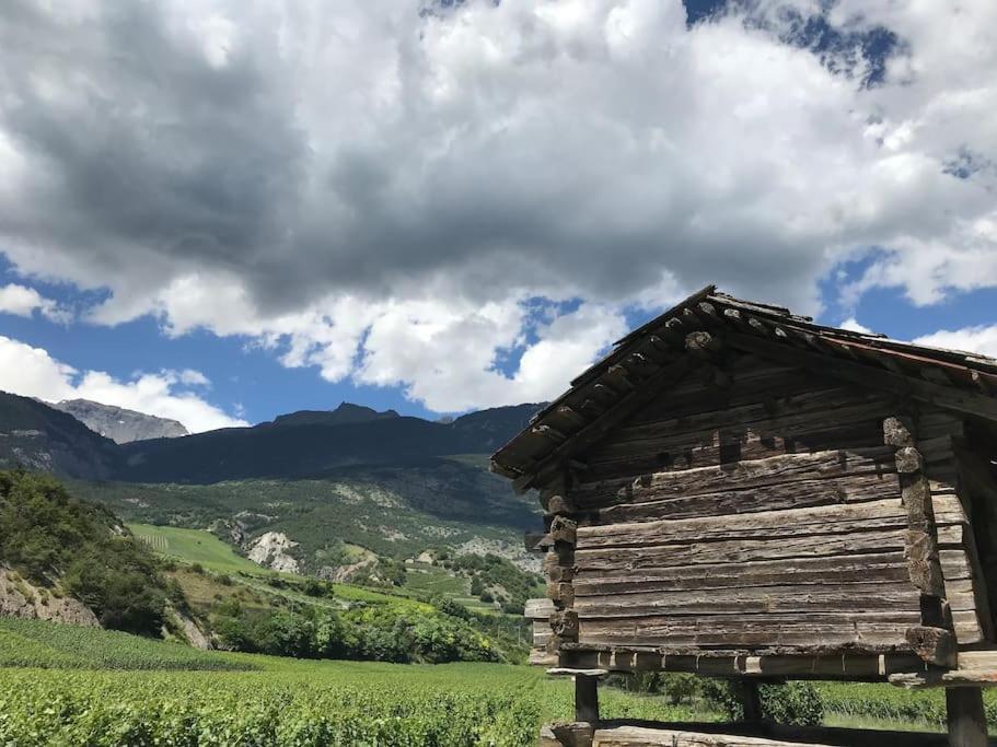 La Maisonnette : Charmante Maison Independante Salgesch Dış mekan fotoğraf