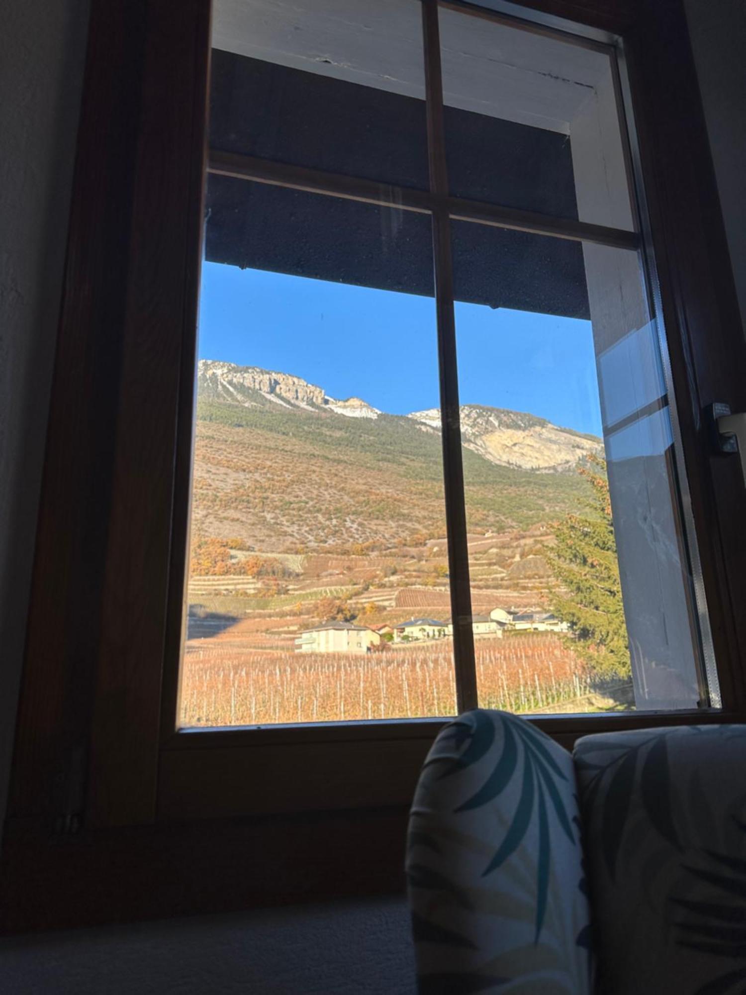 La Maisonnette : Charmante Maison Independante Salgesch Dış mekan fotoğraf